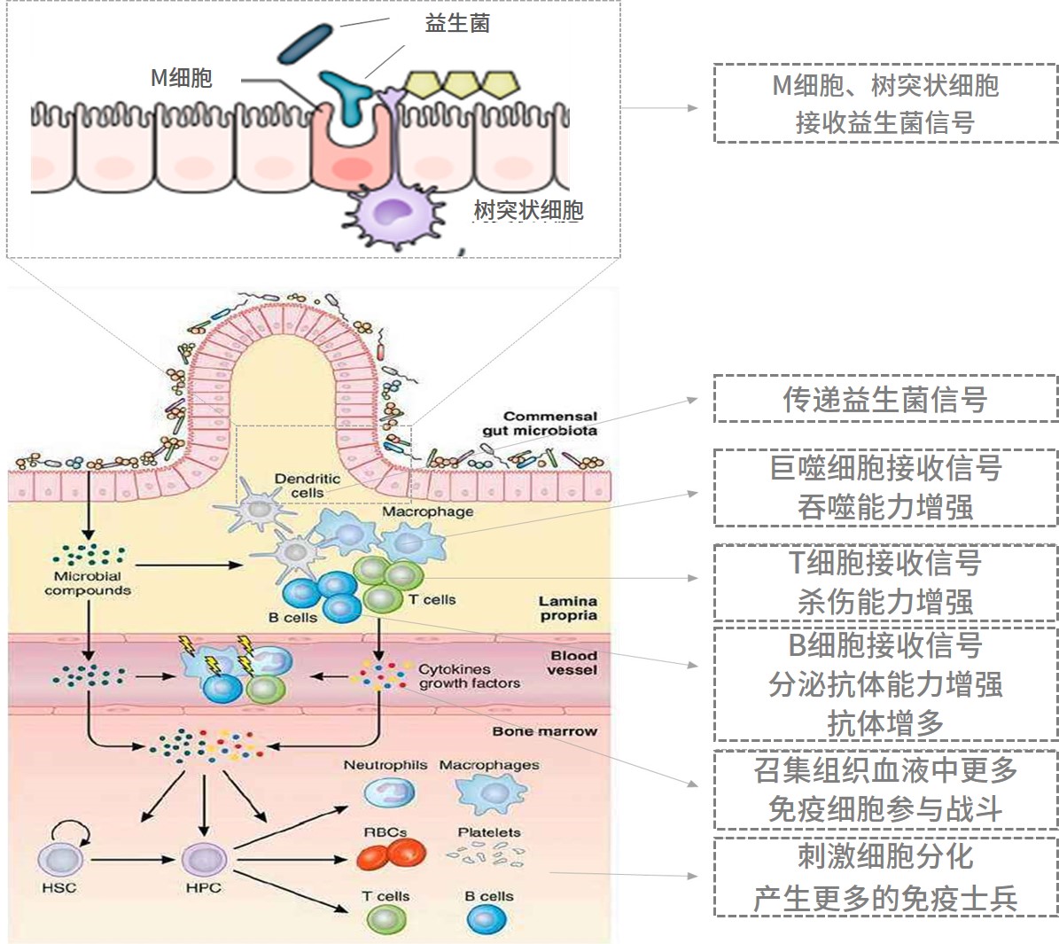 图片7.jpg